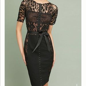 Anthro Beguile by Byron Lars Carissima Sheath